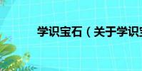 學識寶石(關于學識寶石介紹)
