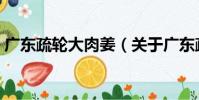 廣東疏輪大肉姜(關于廣東疏輪大肉姜介紹)