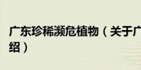 廣東珍稀瀕危植物(關于廣東珍稀瀕危植物介紹)