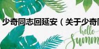 少奇同志回延安(關于少奇同志回延安簡介)