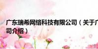 廣東瑞希網絡科技有限公司(關于廣東瑞希網絡科技有限公司介紹)