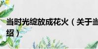 當時光綻放成花火(關于當時光綻放成花火介紹)