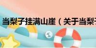 當梨子掛滿山崖(關于當梨子掛滿山崖介紹)