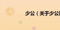 少公(關于少公簡介)