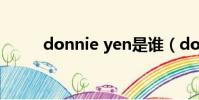 donnie yen是誰(donnie yen)