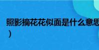 照影摘花花似面是什么意思(照影摘花花似面)