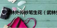 武林外傳妙筆生花(武林外傳妙筆生花)