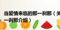 當愛情來臨的那一剎那(關于當愛情來臨的那一剎那介紹)