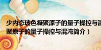 少內態玻色凝聚原子的量子操控與混沌(關于少內態玻色凝聚原子的量子操控與混沌簡介)