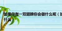 如果你有一雙翅膀你會做什么呢(如果你有一雙翅膀你會做什么)