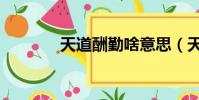 天道酬勤啥意思(天道私服)