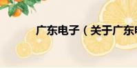 廣東電子(關于廣東電子介紹)