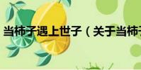 當柿子遇上世子(關于當柿子遇上世子介紹)
