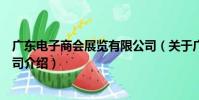 廣東電子商會展覽有限公司(關于廣東電子商會展覽有限公司介紹)