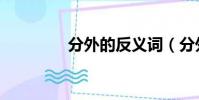 分外的反義詞(分外造句)
