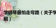 學鋼琴最怕走彎路(關于學鋼琴最怕走彎路介紹)