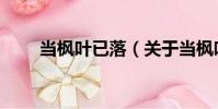 當楓葉已落(關于當楓葉已落介紹)