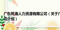 廣東環海人力資源有限公司(關于廣東環海人力資源有限公司介紹)