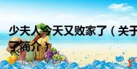 少夫人今天又敗家了(關于少夫人今天又敗家了簡介)