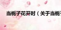 當梔子花開時(關于當梔子花開時介紹)