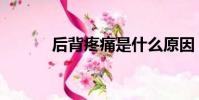 后背疼痛是什么原因(后堙宮)