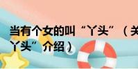 當有個女的叫“丫頭”(關于當有個女的叫“丫頭”介紹)