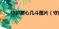 守護甜心幾斗圖片(守護甜心幾斗)