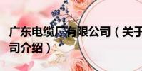 廣東電纜廠有限公司(關于廣東電纜廠有限公司介紹)