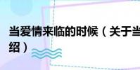 當愛情來臨的時候(關于當愛情來臨的時候介紹)
