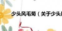 少頭風毛菊(關于少頭風毛菊簡介)