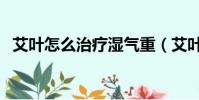艾葉怎么治療濕氣重(艾葉怎么治婦科病)
