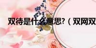 雙待是什么意思?(雙網雙待是什么意思)