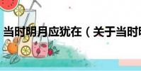 當時明月應猶在(關于當時明月應猶在介紹)