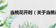 當桃花開時(關于當桃花開時介紹)