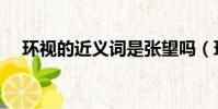 環視的近義詞是張望嗎(環視的近義詞)