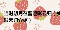 當時明月在曾照彩云歸(關于當時明月在曾照彩云歸介紹)