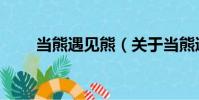 當熊遇見熊(關于當熊遇見熊介紹)