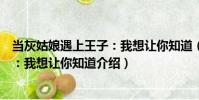 當灰姑娘遇上王子:我想讓你知道(關于當灰姑娘遇上王子:我想讓你知道介紹)