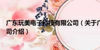 廣東玩美電子科技有限公司(關于廣東玩美電子科技有限公司介紹)