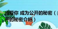 當愛你 成為公開的秘密(關于當愛你 成為公開的秘密介紹)