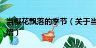 當櫻花飄落的季節(關于當櫻花飄落的季節介紹)