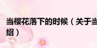 當櫻花落下的時候(關于當櫻花落下的時候介紹)