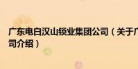 廣東電白漢山鎖業集團公司(關于廣東電白漢山鎖業集團公司介紹)