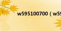 w595100700(w595c主題)