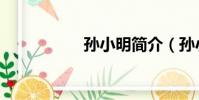 孫小明簡介(孫小明)