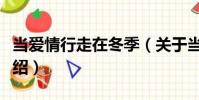 當愛情行走在冬季(關于當愛情行走在冬季介紹)