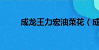 成龍王力宏油菜花(成龍 王力宏)