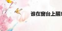 誰在窗臺上醒來?
