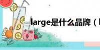 large是什么品牌(largely)