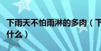 下雨天不怕雨淋的多肉(下雨天不怕雨淋的是什么)